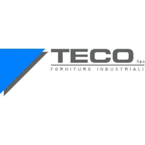Teco Spa Logo