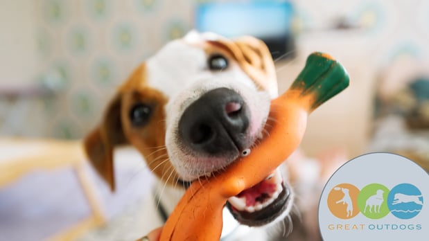 Images Great Outdogs