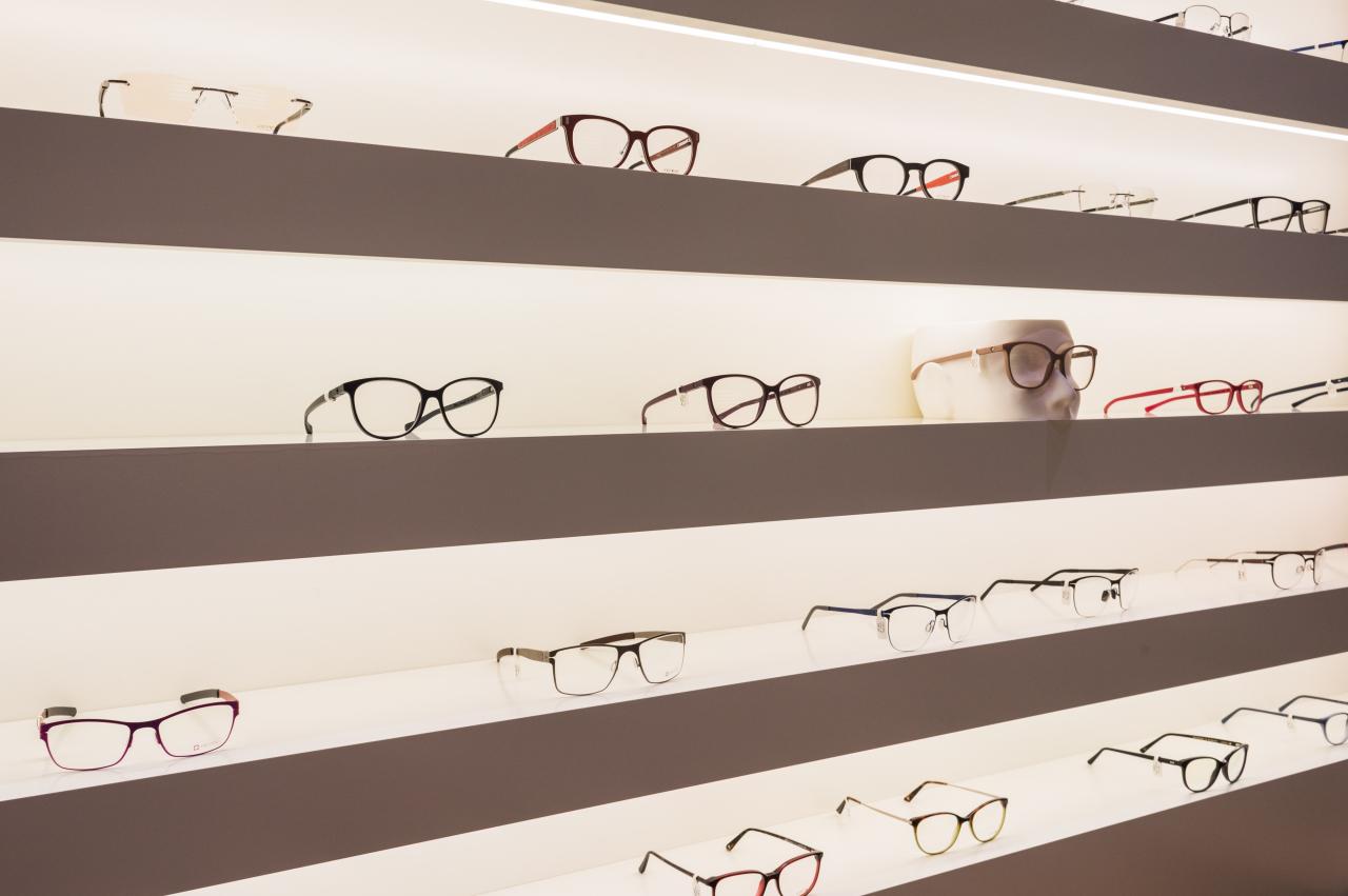 Bilder Bloesser Optik AG
