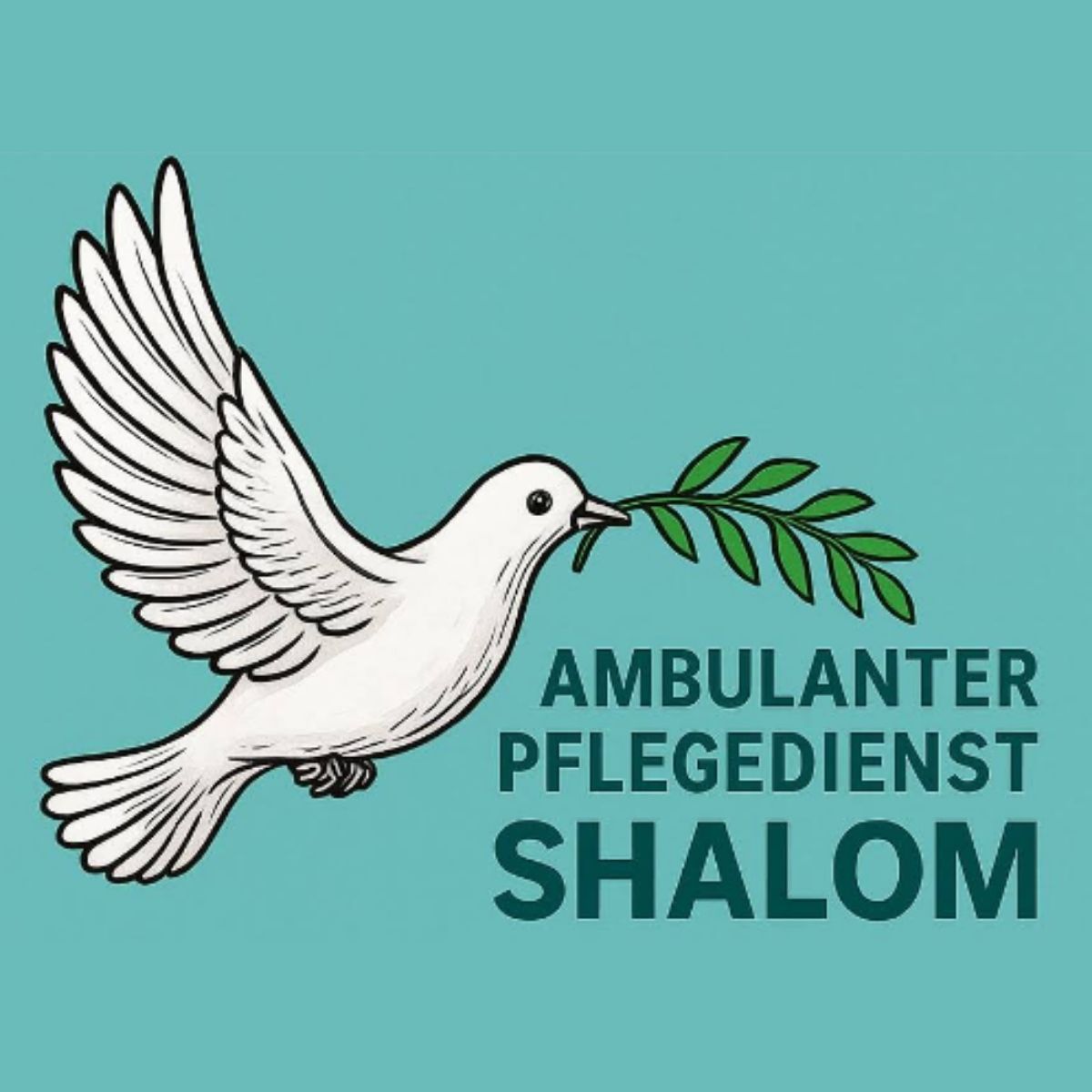 Ambulanter Pflegedienst Shalom in Buchbrunn