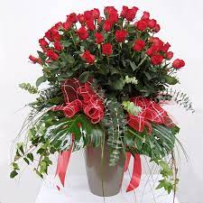 Flores Navarro