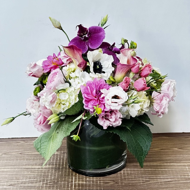 Images Jane's Roses & Flowers