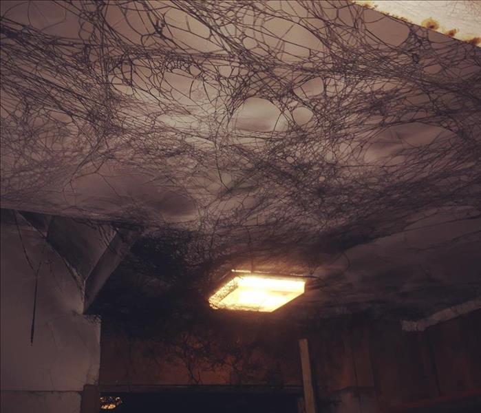 Soot Damage in Redding CT`