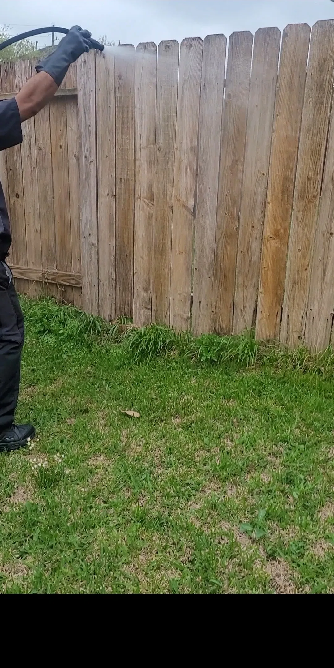 A person wearing black gloves is spraying a wooden fence with a hose. The fence is made of vertical wooden planks and appears weathered. In front of the fence is a patch of green grass with some weeds. The sky above is overcast.
