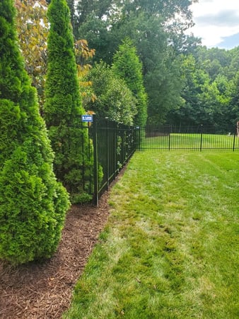 Images B Line Fencing & Services