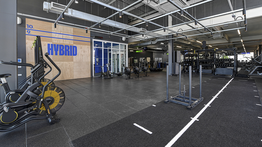 Hybrid Area