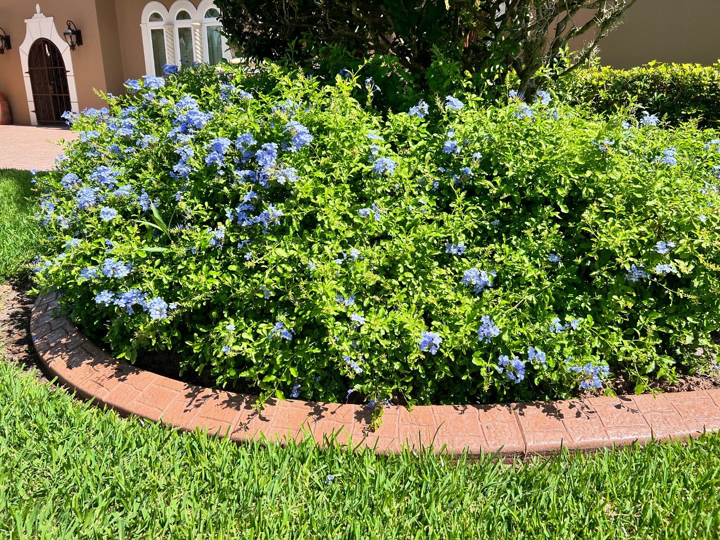 Surface Pro Concrete Solutions Image