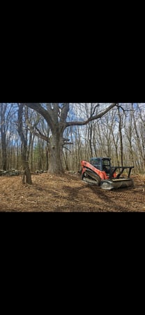 Images STA Excavating & Forestry  LLC
