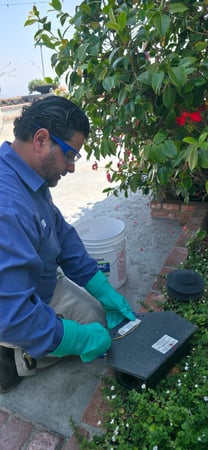 Images American Pest Control