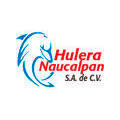 Hulera Naucalpan Sa De Cv México DF