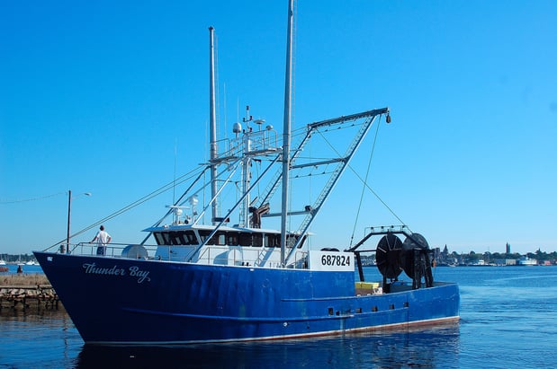 Images Martin Fish Co LLC