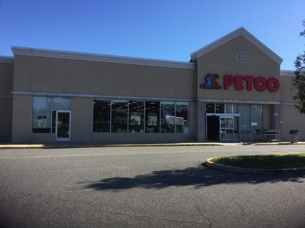 Images Petco Grooming