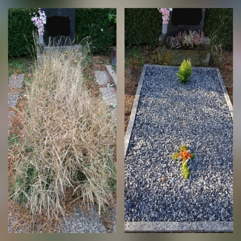 Gartenmarkus - Markus Kapoun, Untere Hauptstraße 43 in Bad Pirawarth