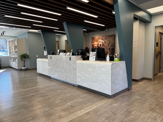 Images VCA Cottonwood Animal Hospital