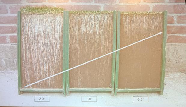 Images 4everGreen Turf Management