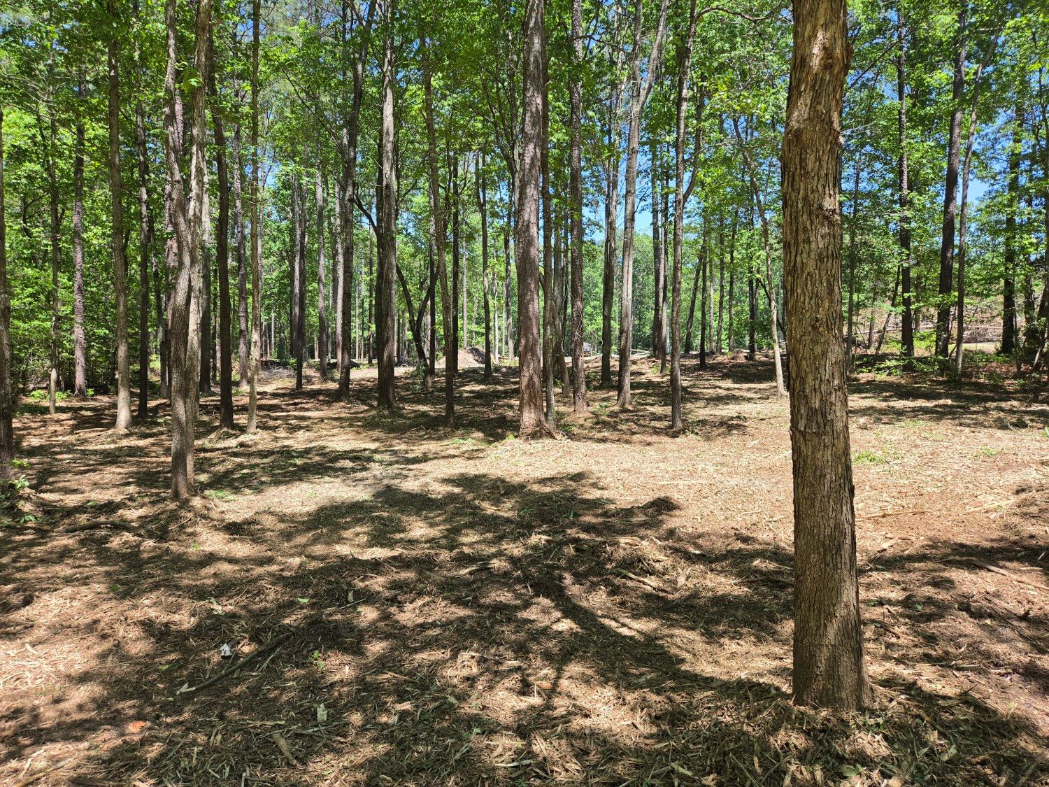 Toombs Property Solutions Image