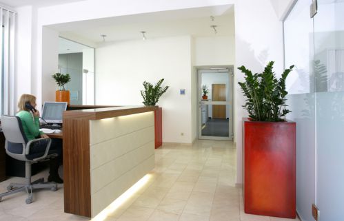 Prokesch & Prokesch Steuerberatung GmbH u Co KG, Mehrlgasse 7 in Sankt Johann im Pongau