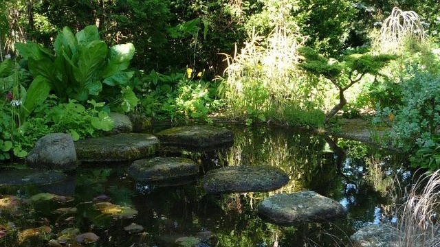 Images Trädgårdsform Susann Andersson AB