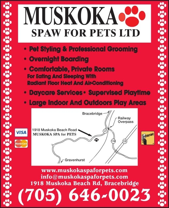 Muskoka Spaw For Pets in Bracebridge