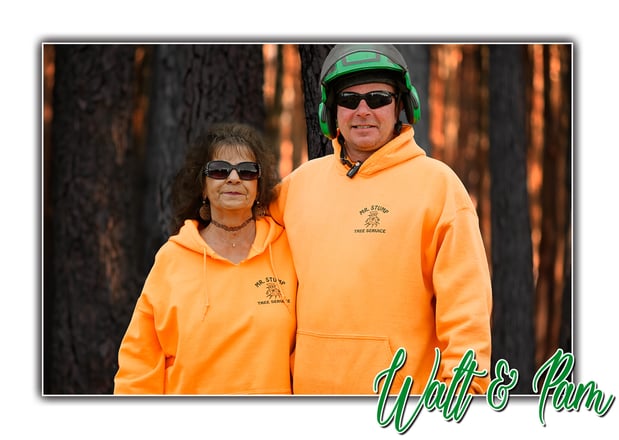Images Mr. Stump Tree Service