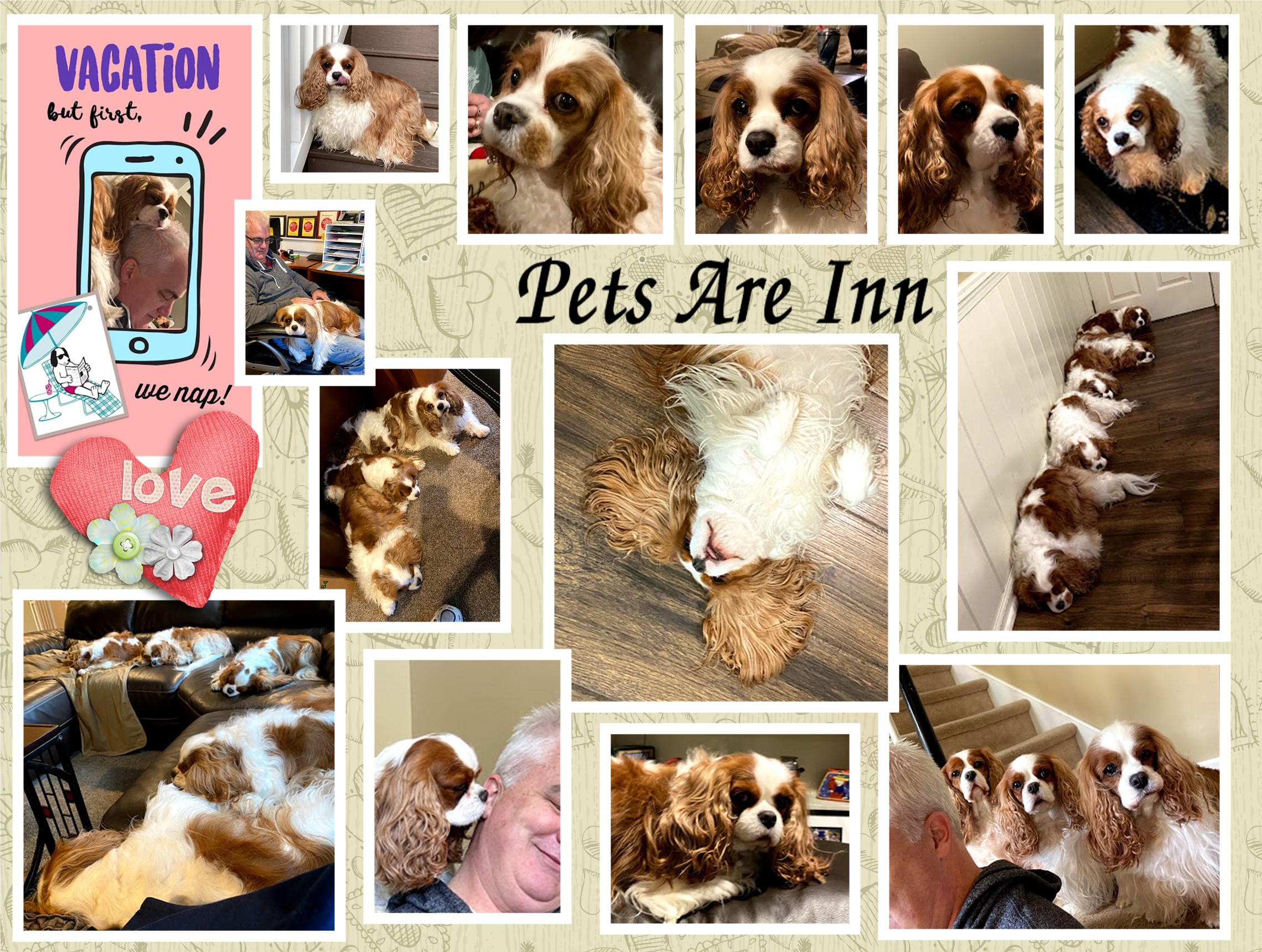 Loving your fur babies while your away is what we do!
