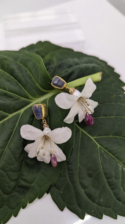 Images Hillary Jackson Designs