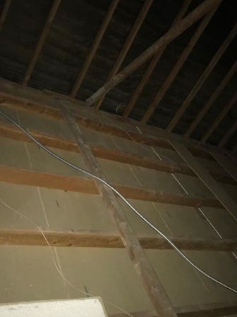 Images Rodent Solution