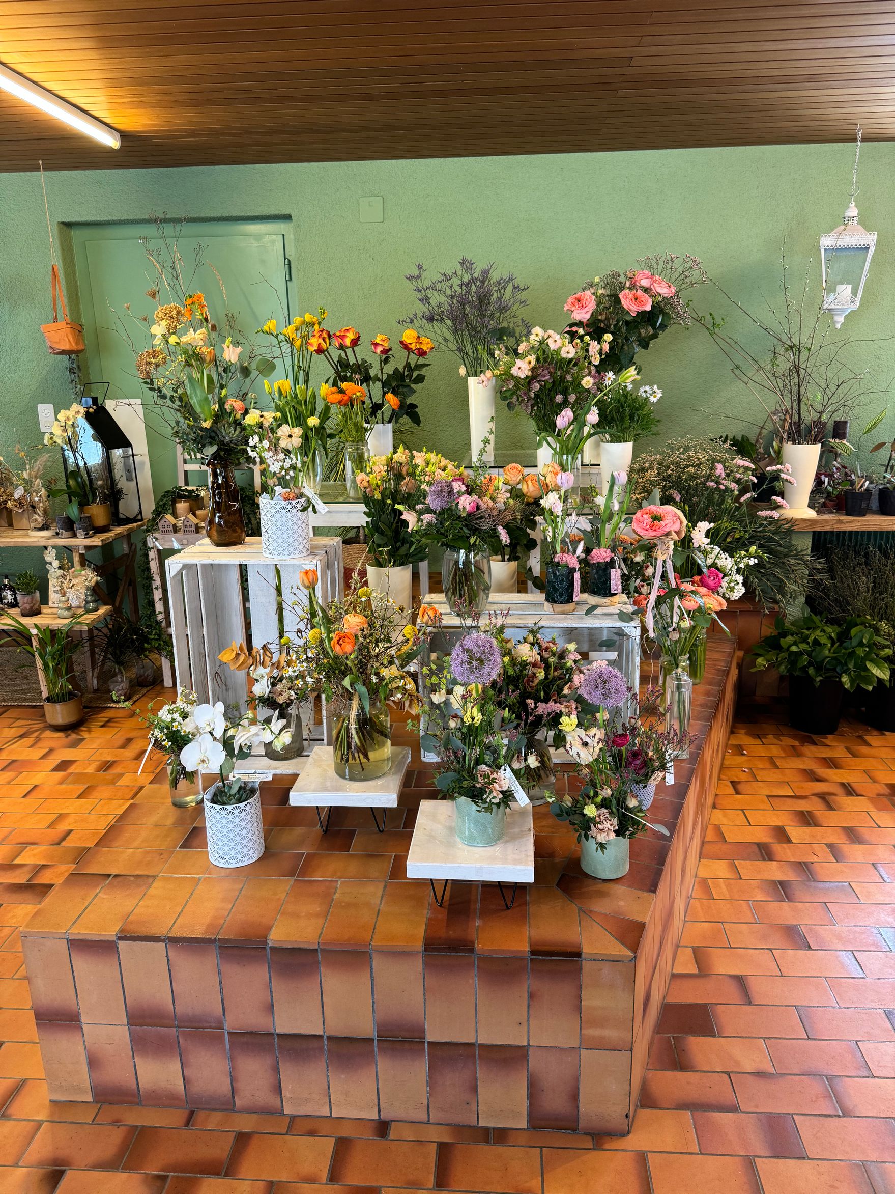 Bilder Gaëlle Fleurs Sàrl