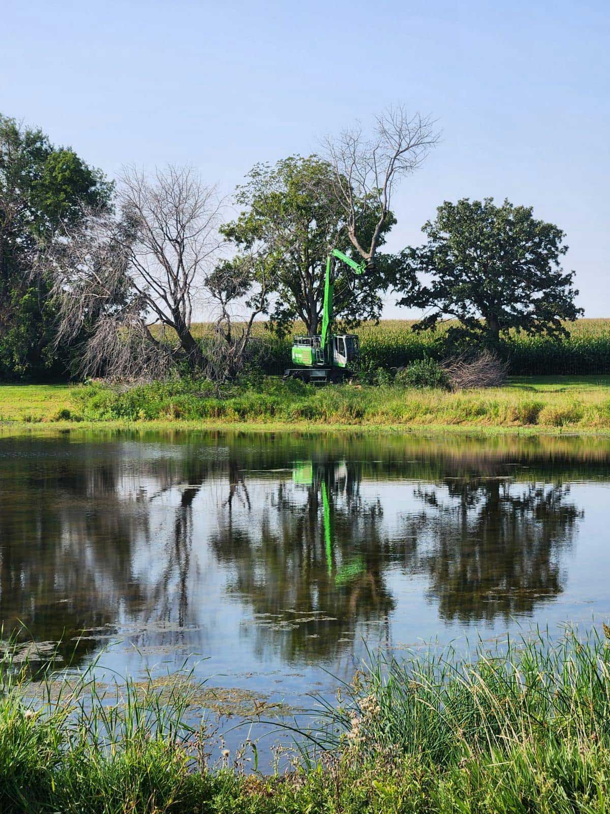 Schwebach Tree Service Image