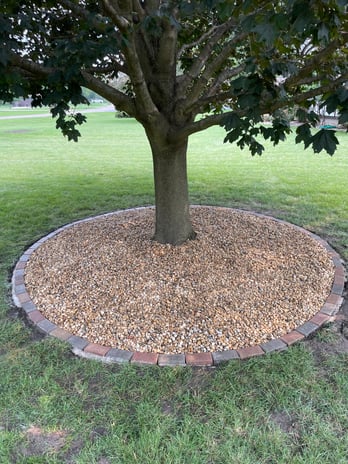 Images JT's Lawn Care & Landscaping LLC