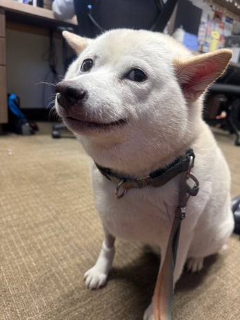 Images VCA West Los Angeles Animal Hospital