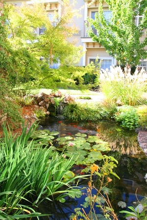 Images Hampton Inn Ukiah