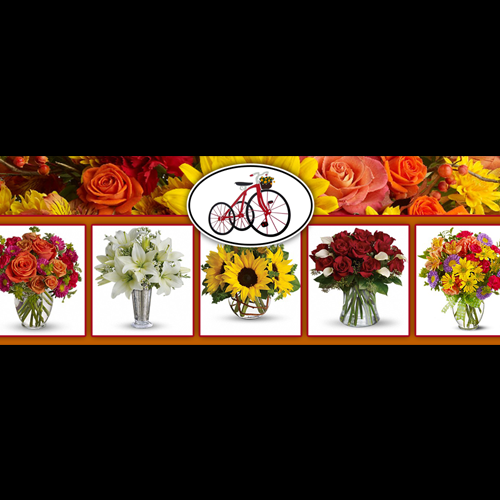 Town & Country Florist Logo