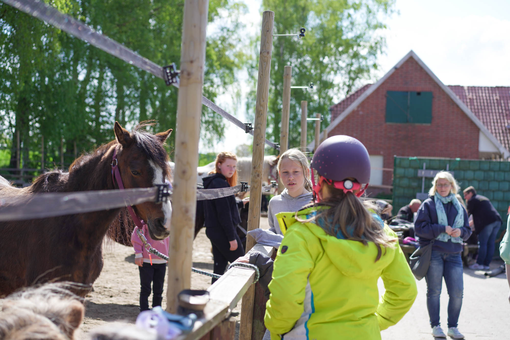 Bilder Familiencampingplatz Haselünne
