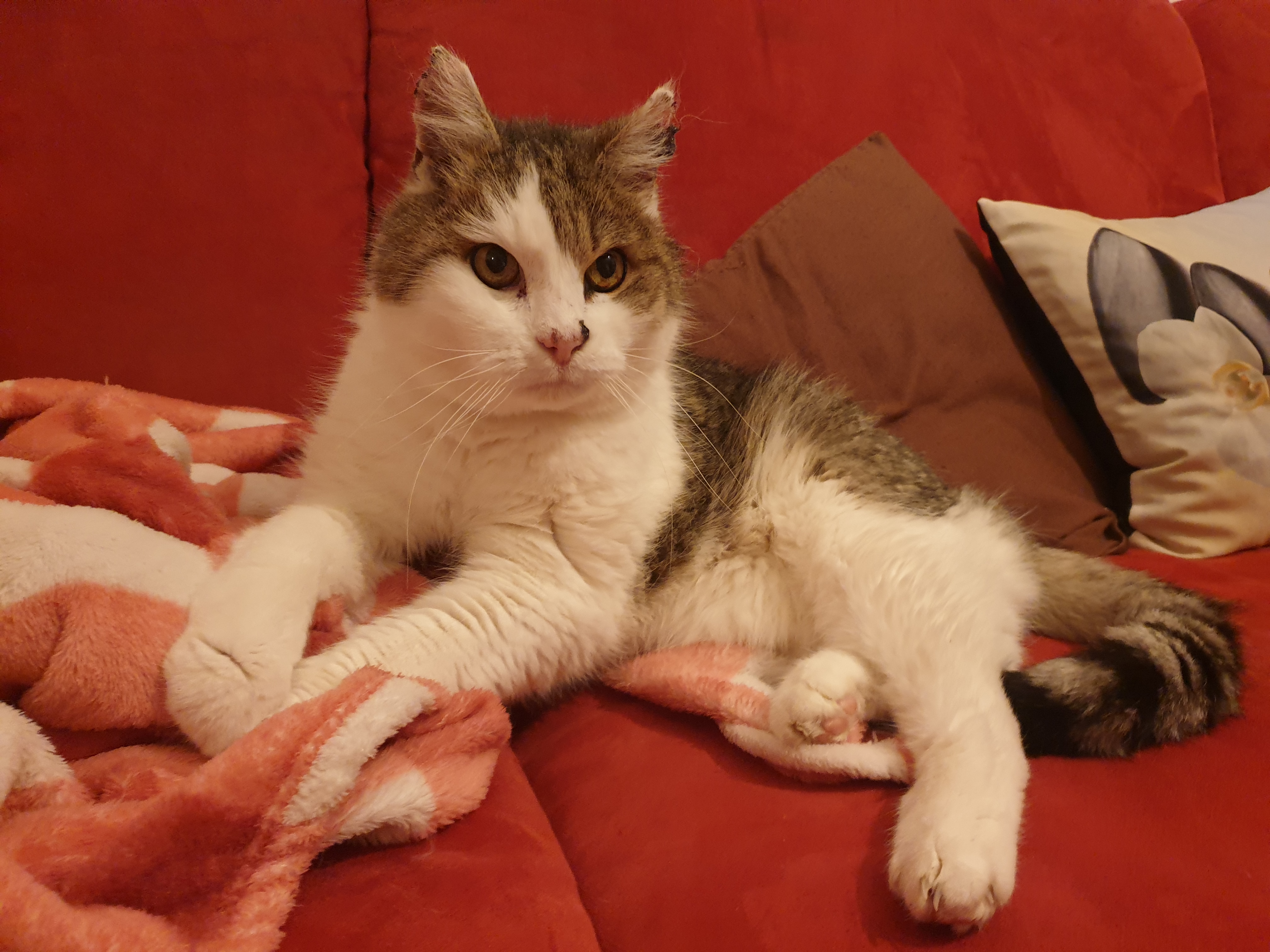 Bild 15 von Tanja Stieblehner - Ernährungstrainerin REICO VITAL - Spezialist für Hund, Katze und Mensch