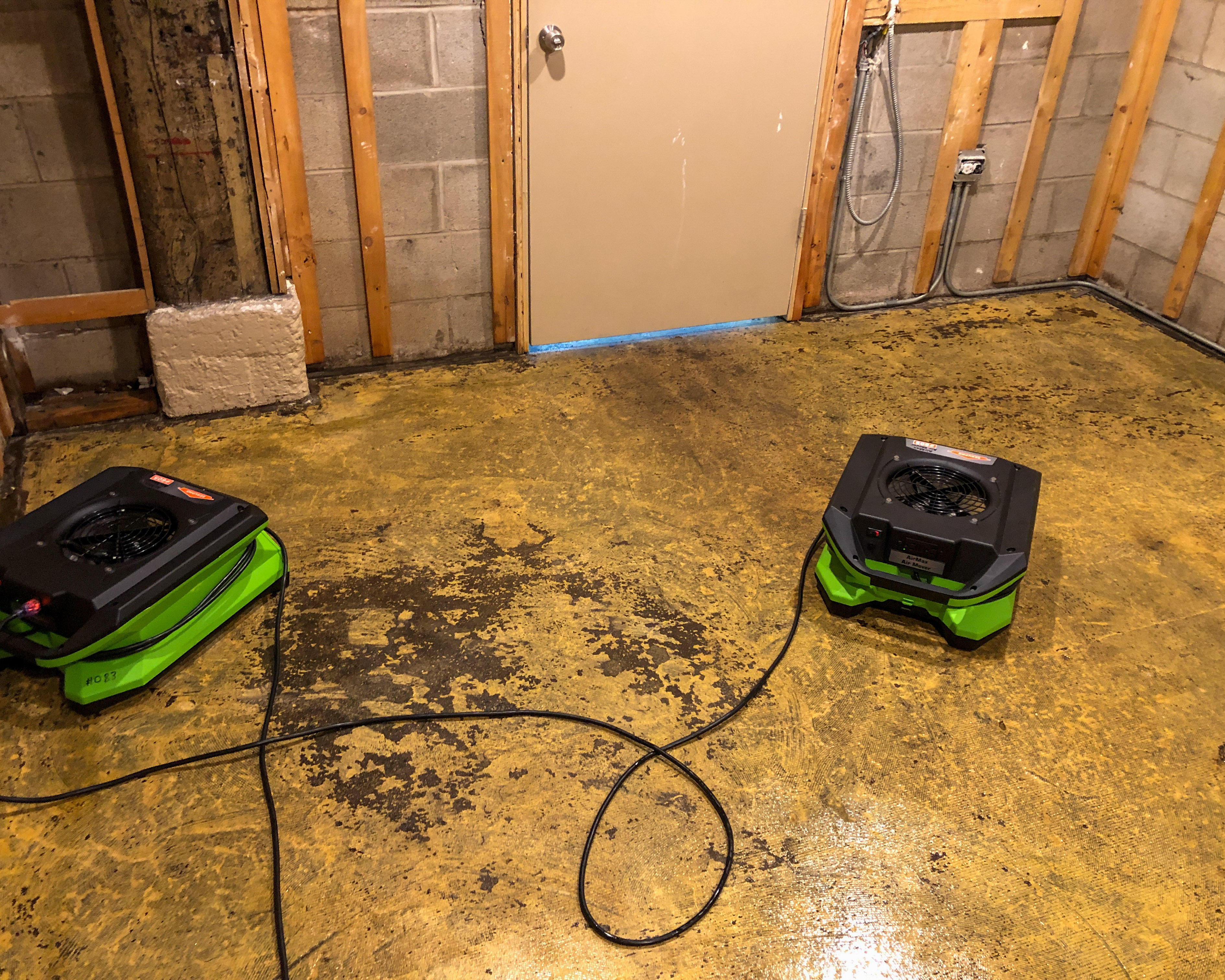 The statistics are staggering, 1/3 of all households in the United States have experienced a water damage event causing damage and even mold growth.