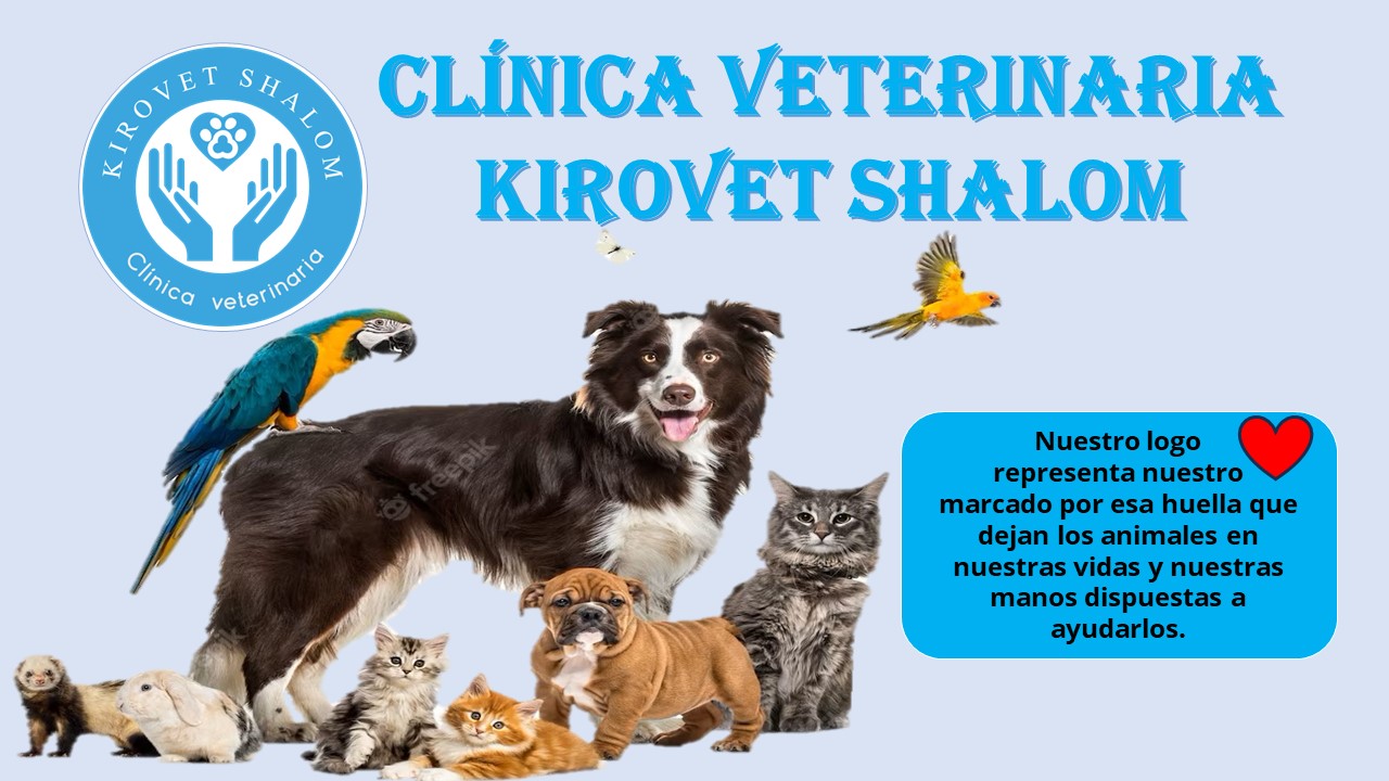 Images Clínica Veterinaria Kirovet Shalom S.L.