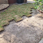 Images Ultra Plus Service