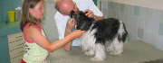 Foto's ABC voor Dieren, Dierenkliniek in  Amersfoort