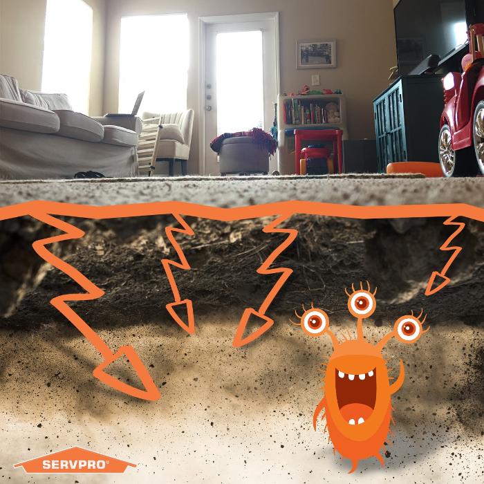 Images SERVPRO of Temecula