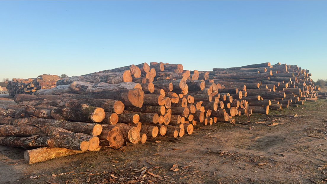 Images Lakeridge Firewood Ltd