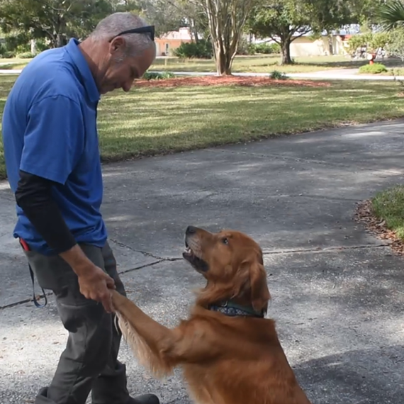 Dog thanking Invisible Fence&reg; team member in Duval County, FL