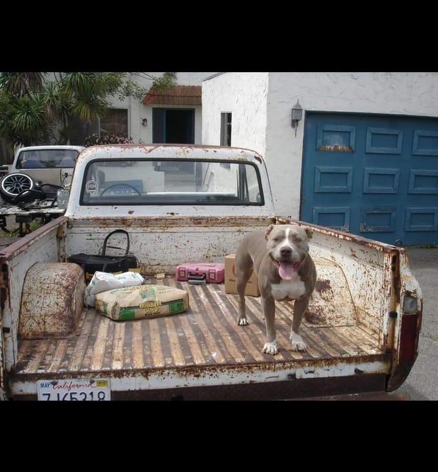 Images North County Independent Audi & VW