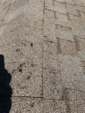 Images Elevate Roofing Pros