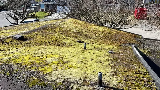 Images Realm Roofing