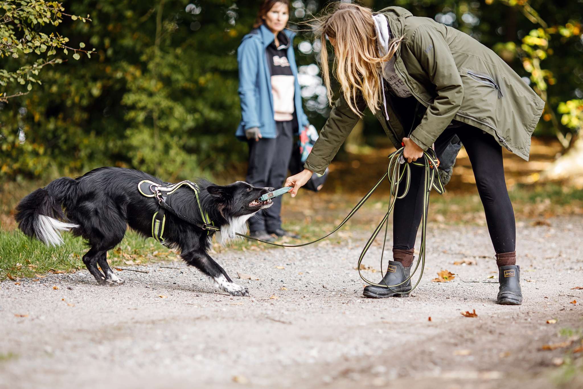 Hundeschule DogGeeks® TonCane: Online & Mobil, Voßbarg 23 in Seevetal