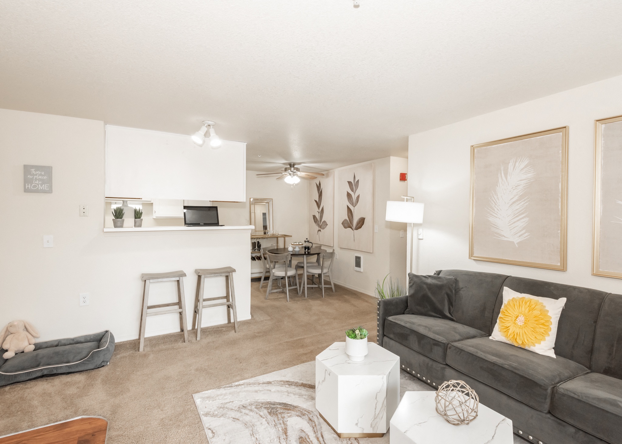 Living Room With Dining Area