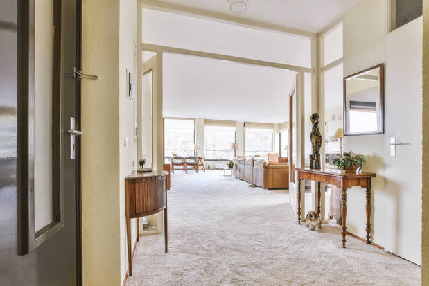 Images Carine Chem-Dry