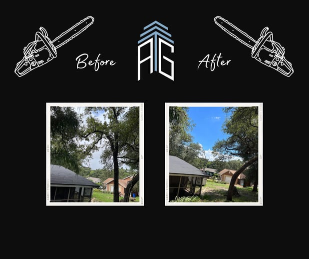 Images Against The Grain Tree Care