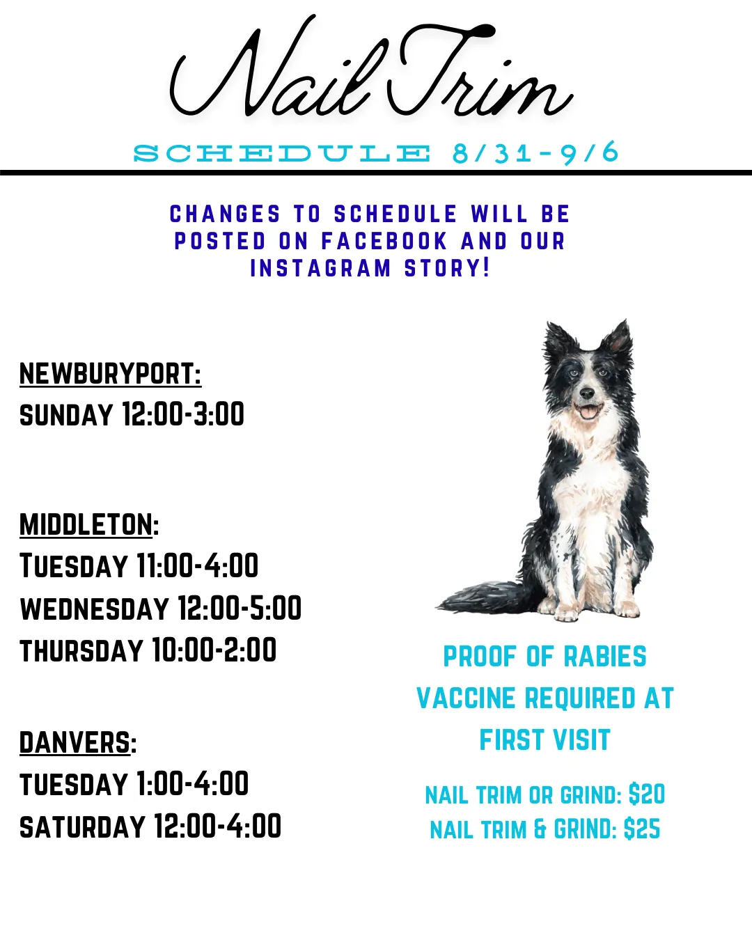 Image of Local Pet Event Nail Trim Schedule Nearby